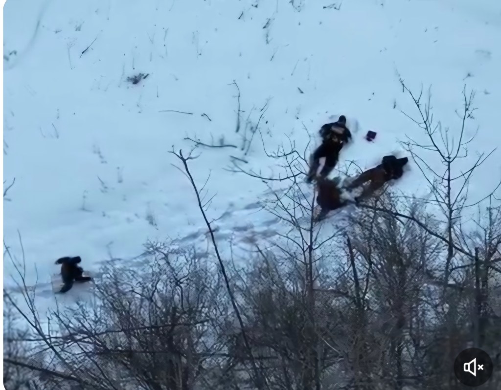 On Feb 25, Niagara Falls Station, ICE/ERO, and Buffalo Sector SOD stopped a vehicle in Medina, NY. Four fled; all were caught with help from local partners and drone support. One MS-13 gang member and 3 Hondurans taken into custody. Great teamwork keeping our communities&nbsp;safe!